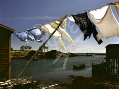 Rock Harbour